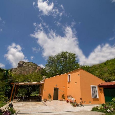 B&B Casa Vacanze Benvenuti Al Sud Aiello Calabro Zewnętrze zdjęcie