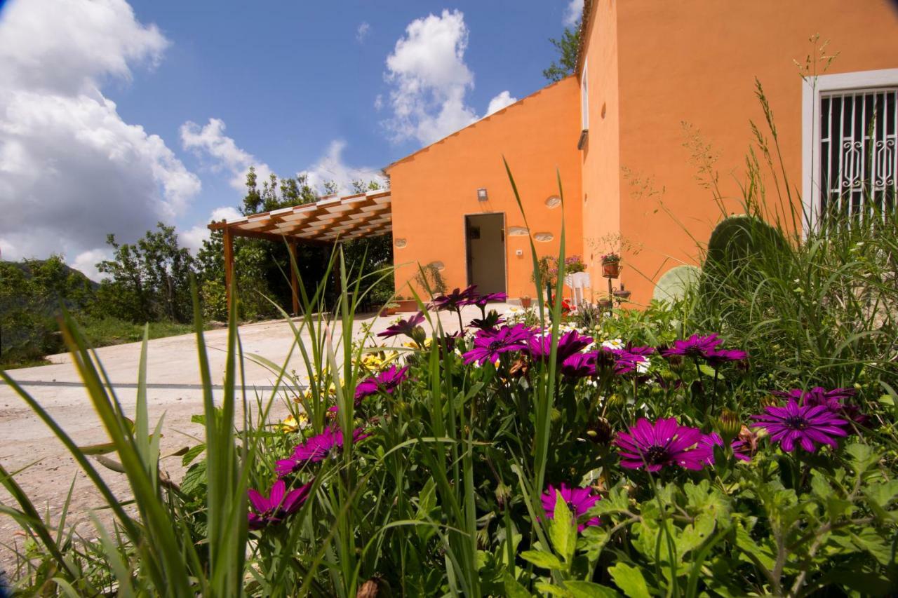 B&B Casa Vacanze Benvenuti Al Sud Aiello Calabro Zewnętrze zdjęcie